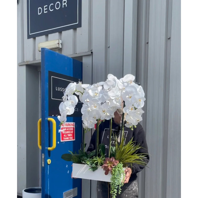 The Seasonal Aisle Lux Orchid Floral Arrangement in Planter | Wayfair.co.uk